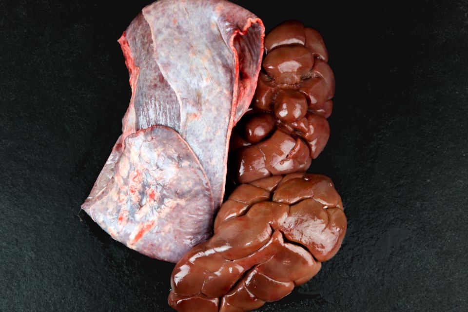 Organe de vită Angus bio – splină și rinichi (congelate)